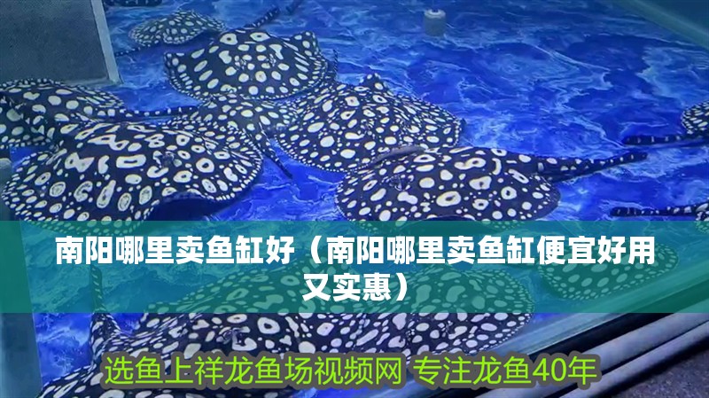 南陽哪里賣魚缸好（南陽哪里賣魚缸便宜好用又實(shí)惠）