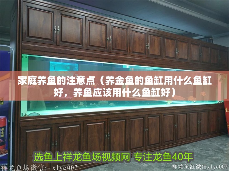 家庭養魚的注意點（養金魚的魚缸用什么魚缸好，養魚應該用什么魚缸好）