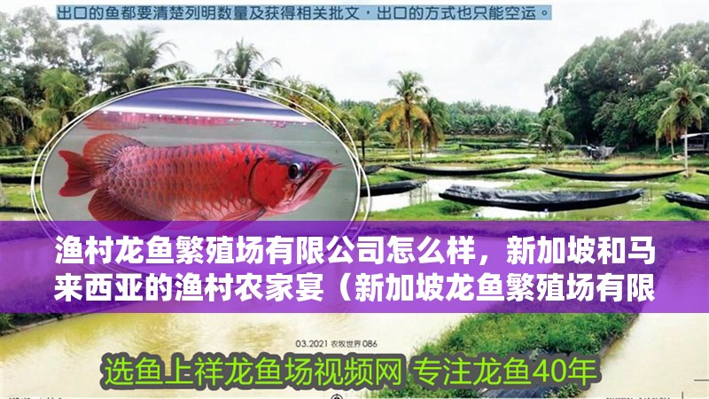 漁村龍魚繁殖場有限公司怎么樣，新加坡和馬來西亞的漁村農家宴（新加坡龍魚繁殖場有限公司怎么樣）