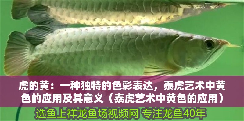 虎的黃：一種獨特的色彩表達，泰虎藝術中黃色的應用及其意義（泰虎藝術中黃色的應用）