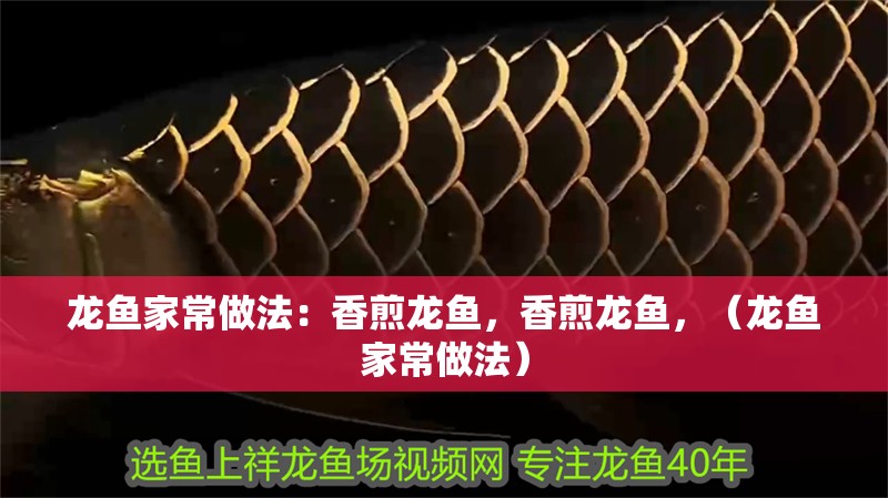 龍魚家常做法：香煎龍魚，香煎龍魚，（龍魚家常做法）