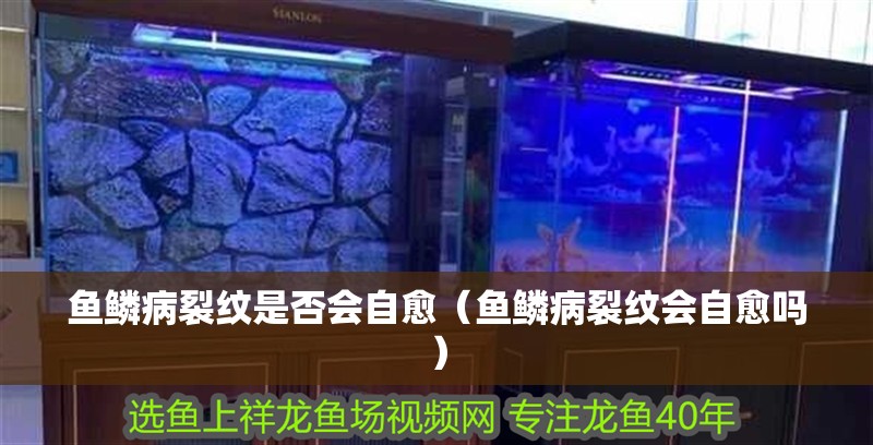 魚鱗病裂紋是否會(huì)自愈（魚鱗病裂紋會(huì)自愈嗎）