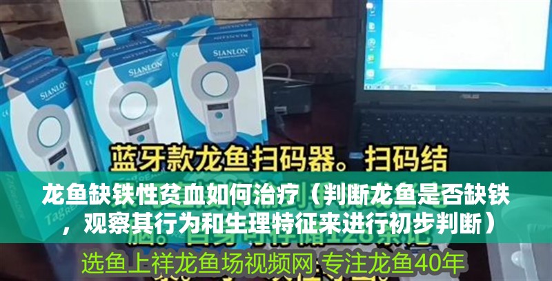 龍魚缺鐵性貧血如何治療（判斷龍魚是否缺鐵，觀察其行為和生理特征來進行初步判斷）