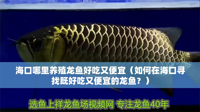 ?？谀睦镳B殖龍魚好吃又便宜（如何在?？趯ふ壹群贸杂直阋说凝堲~？）