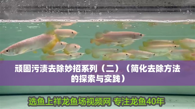 頑固污漬去除妙招系列（二）（簡(jiǎn)化去除方法的探索與實(shí)踐）