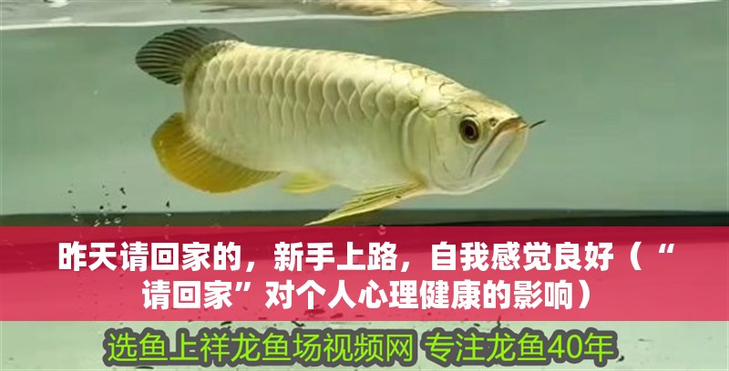 昨天請回家的，新手上路，自我感覺良好（“請回家”對個人心理健康的影響）