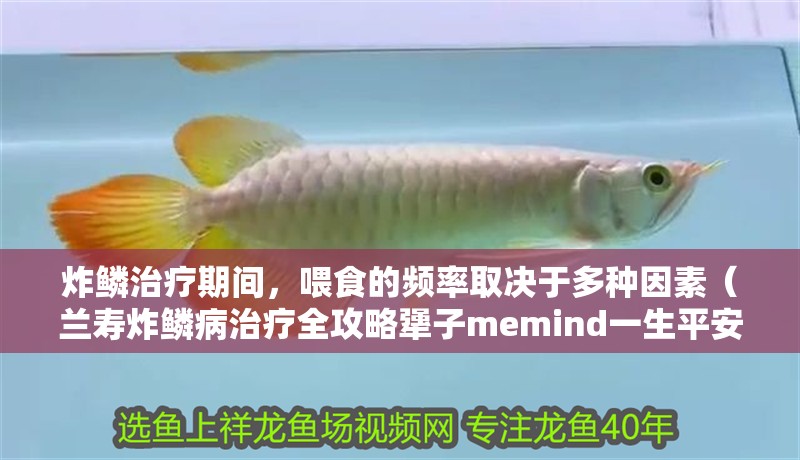 炸鱗治療期間，喂食的頻率取決于多種因素（蘭壽炸鱗病治療全攻略犟子memind一生<strong><mark>平安</mark></strong>）