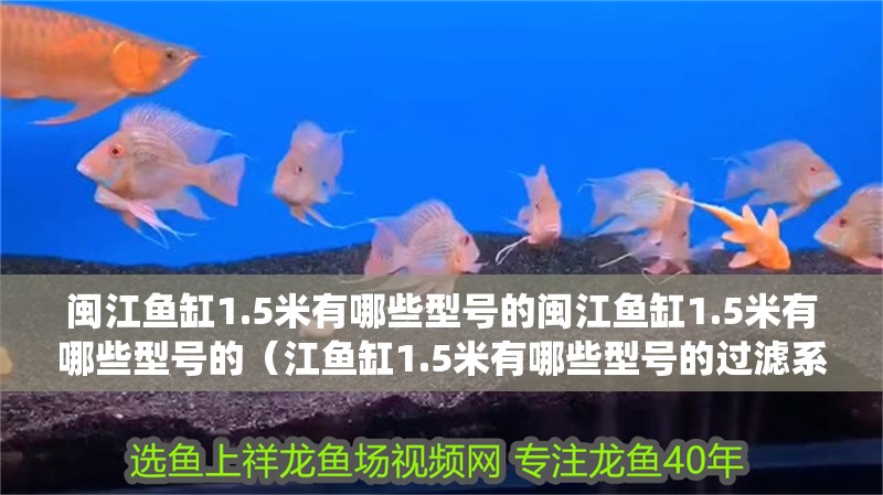 閩江魚缸1.5米有哪些型號的閩江魚缸1.5米有哪些型號的（江魚缸1.5米有哪些型號的過濾系統圖解）