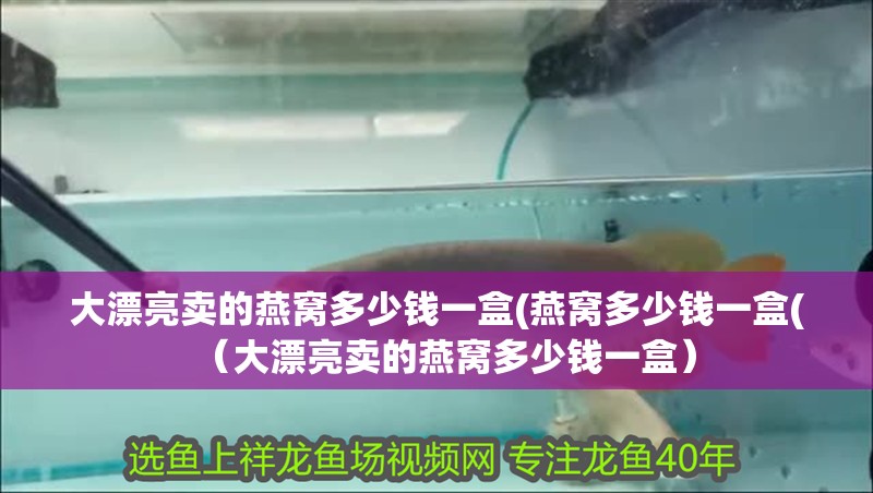 大漂亮賣的燕窩多少錢一盒(燕窩多少錢一盒(（大漂亮賣的燕窩多少錢一盒）