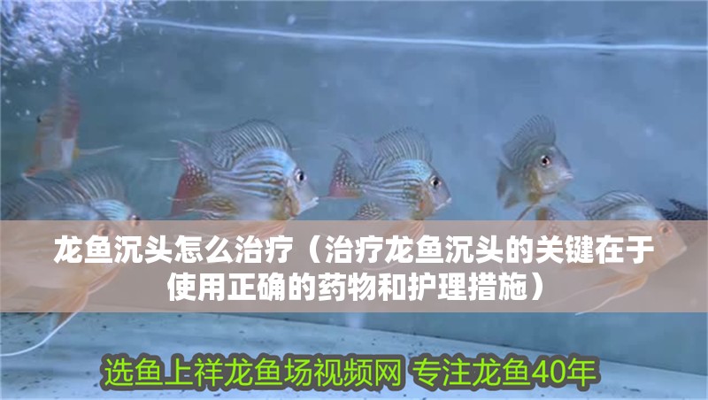 龍魚沉頭怎么治療（治療龍魚沉頭的關鍵在于使用正確的藥物和護理措施）