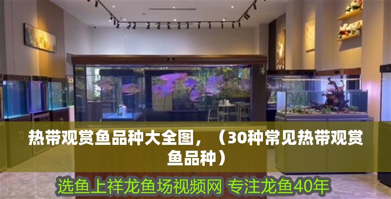 熱帶觀賞魚品種大全圖，（30種常見熱帶觀賞魚品種）