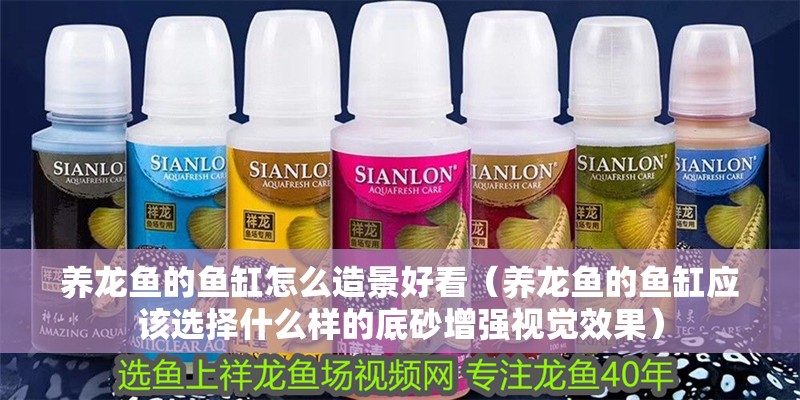 養(yǎng)龍魚的魚缸怎么造景好看（養(yǎng)龍魚的魚缸應(yīng)該選擇什么樣的底砂增強(qiáng)視覺效果）