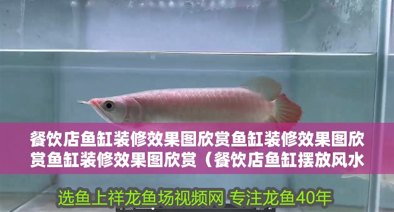 餐飲店魚缸裝修效果圖欣賞魚缸裝修效果圖欣賞魚缸裝修效果圖欣賞（餐飲店魚缸擺放風水學）