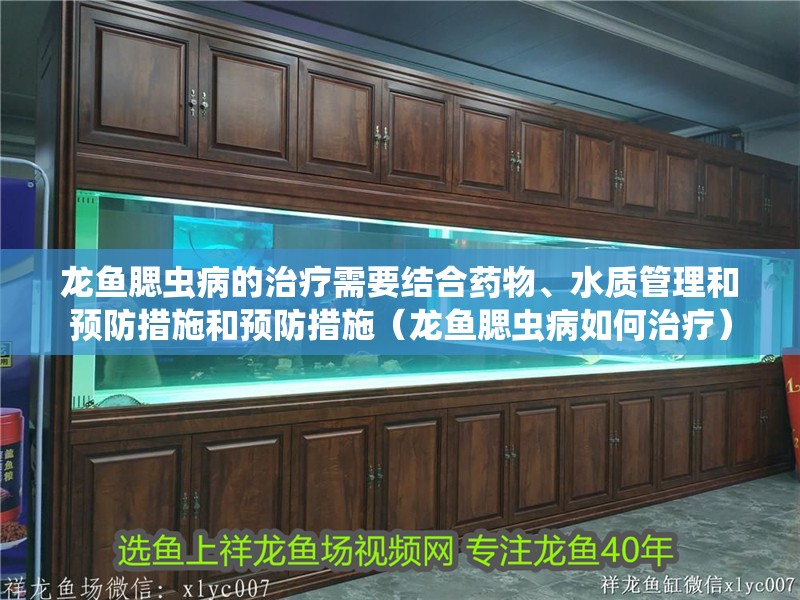 龍魚腮蟲病的治療需要結合藥物、水質(zhì)管理和預防措施和預防措施（龍魚腮蟲病如何治療）