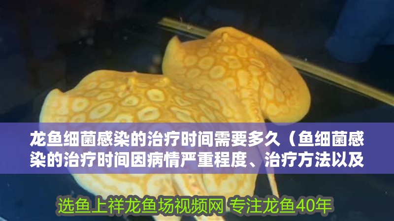 龍魚細菌感染的治療時間需要多久（魚細菌感染的治療時間因病情嚴重程度、治療方法以及個體差異而異）