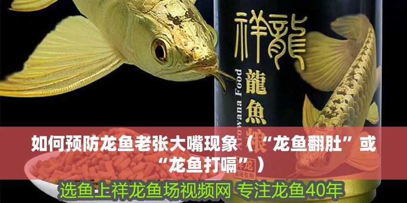 如何預防龍魚老張大嘴現象（“龍魚翻肚”或“龍魚打嗝”）