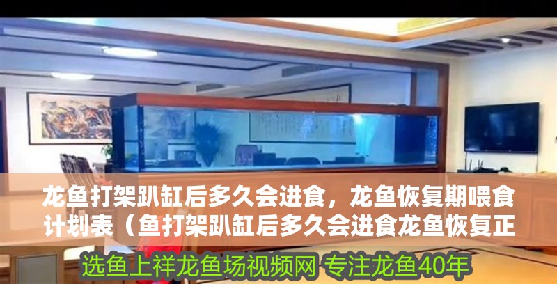 龍魚打架趴缸后多久會進食，龍魚恢復期喂食計劃表（魚打架趴缸后多久會進食龍魚恢復正常飲食習慣） 龍魚打架趴缸后多久會進食，龍魚恢復期喂食計劃表（魚打架趴缸后多久會進食龍魚恢復正常飲食習慣） 龍魚百科