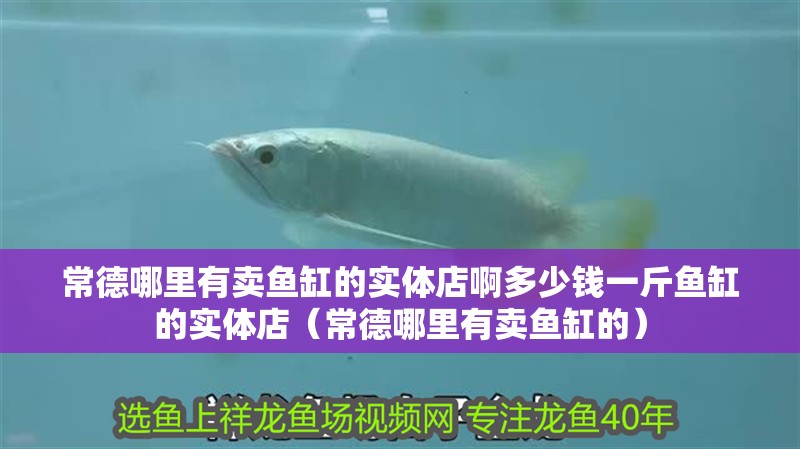常德哪里有賣魚缸的實體店啊多少錢一斤魚缸的實體店（常德哪里有賣魚缸的）