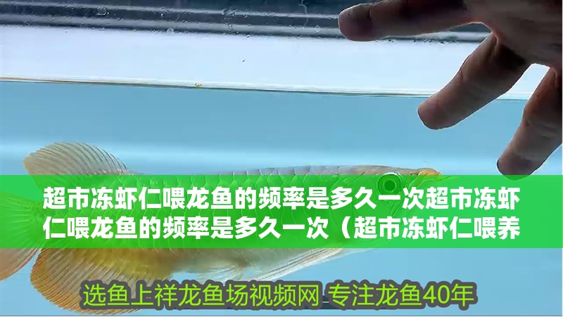 超市凍蝦仁喂龍魚的頻率是多久一次超市凍蝦仁喂龍魚的頻率是多久一次（超市凍蝦仁喂養龍魚的頻率是多久一次？）