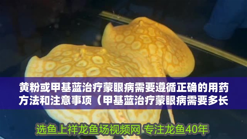黃粉或甲基藍治療蒙眼病需要遵循正確的用藥方法和注意事項（甲基藍治療蒙眼病需要多長時間？）