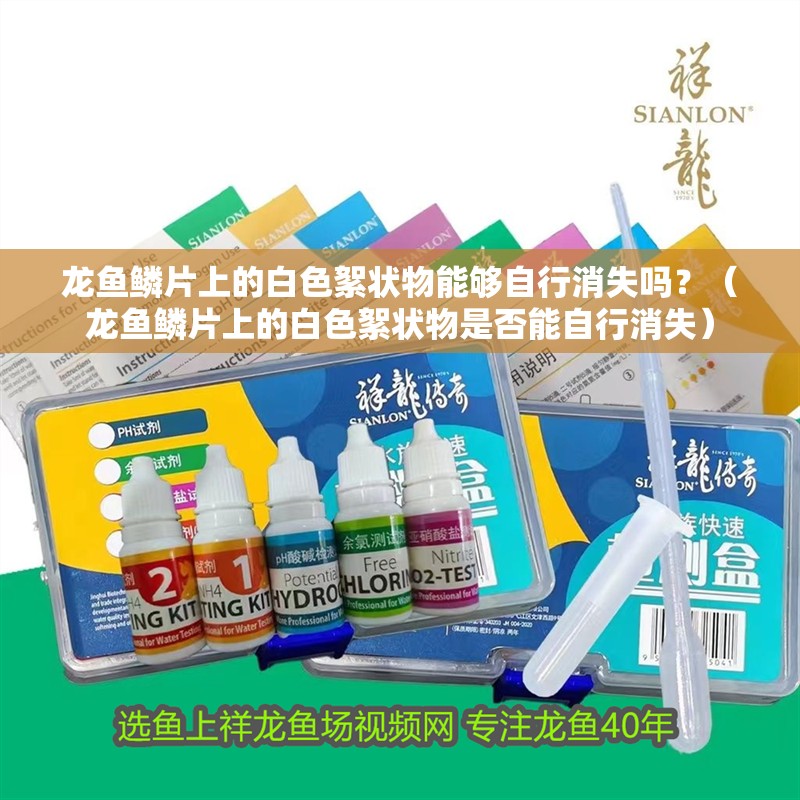 龍魚鱗片上的白色絮狀物能夠自行消失嗎？（龍魚鱗片上的白色絮狀物是否能自行消失）