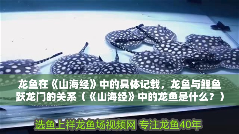 龍魚在《山海經(jīng)》中的具體記載，龍魚與鯉魚躍龍門的關(guān)系（《山海經(jīng)》中的龍魚是什么？）