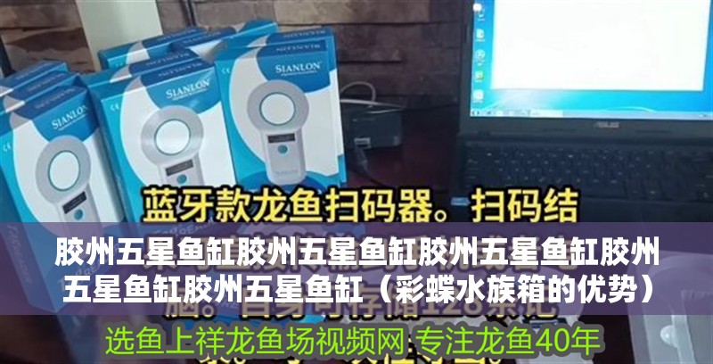 膠州五星魚缸膠州五星魚缸膠州五星魚缸膠州五星魚缸膠州五星魚缸（彩蝶水族箱的優(yōu)勢(shì)）