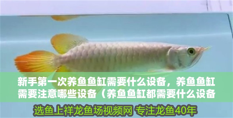 新手第一次養(yǎng)魚(yú)魚(yú)缸需要什么設(shè)備，養(yǎng)魚(yú)魚(yú)缸需要注意哪些設(shè)備（養(yǎng)魚(yú)魚(yú)缸都需要什么設(shè)備）