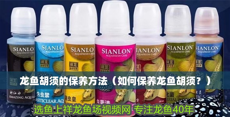 龍魚胡須的保養方法（如何保養龍魚胡須？）