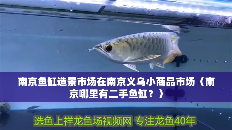 南京魚缸造景市場在南京義烏小商品市場（南京哪里有二手魚缸？）