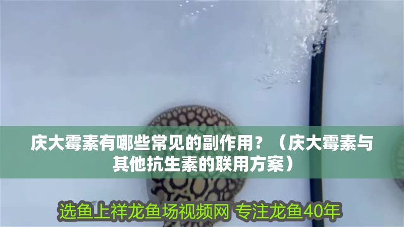 慶大霉素有哪些常見的副作用？（慶大霉素與其他抗生素的聯用方案）