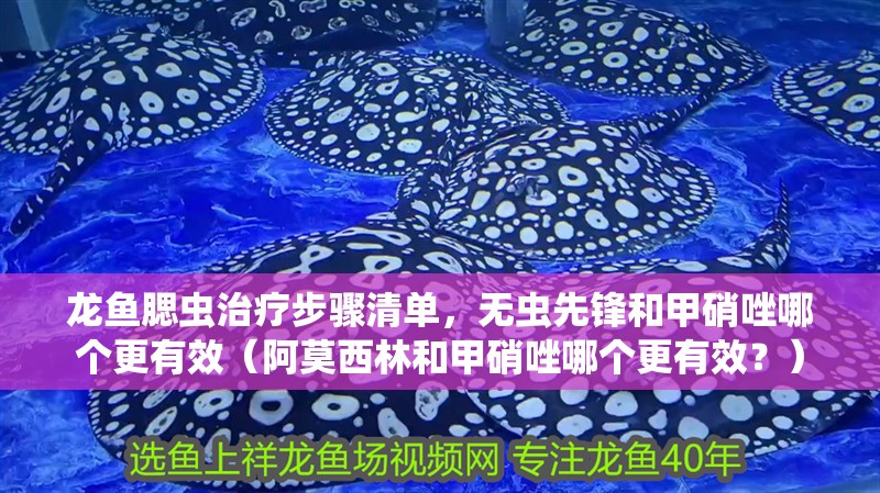 龍魚腮蟲治療步驟清單，無蟲先鋒和甲硝唑哪個更有效（阿莫<strong><mark>西林</mark></strong>和甲硝唑哪個更有效？）