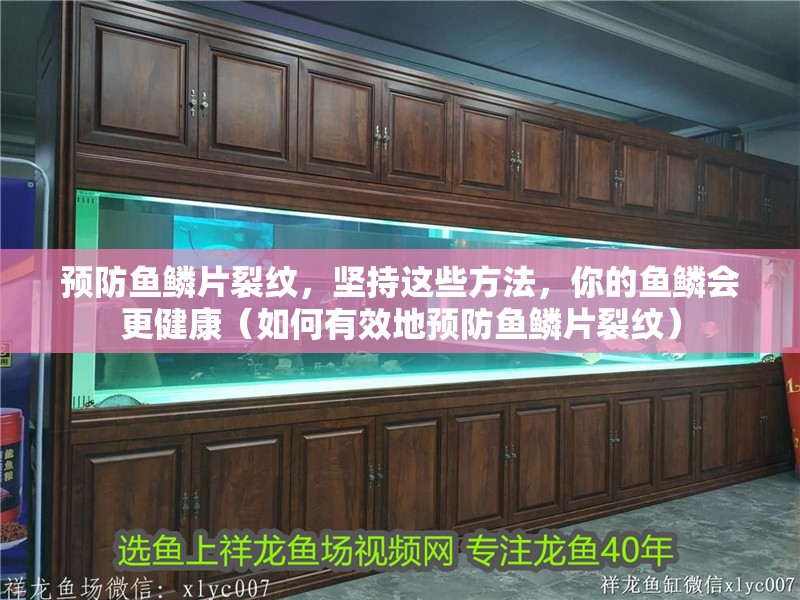 預(yù)防魚鱗片裂紋，堅(jiān)持這些方法，你的魚鱗會(huì)更健康（如何有效地預(yù)防魚鱗片裂紋） 預(yù)防魚鱗片裂紋，堅(jiān)持這些方法，你的魚鱗會(huì)更健康（如何有效地預(yù)防魚鱗片裂紋） 龍魚百科