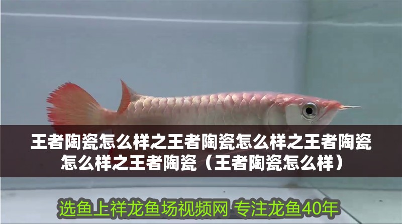 王者陶瓷怎么樣之王者陶瓷怎么樣之王者陶瓷怎么樣之王者陶瓷（王者陶瓷怎么樣）