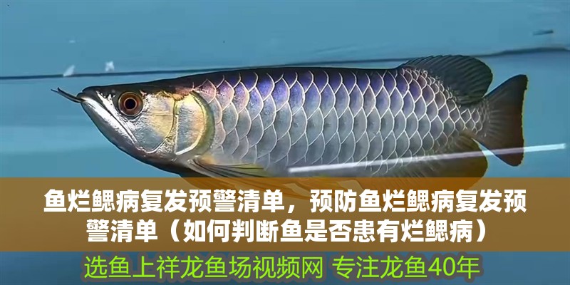 魚(yú)爛鰓病復(fù)發(fā)預(yù)警清單，預(yù)防魚(yú)爛鰓病復(fù)發(fā)預(yù)警清單（如何判斷魚(yú)是否患有爛鰓病）