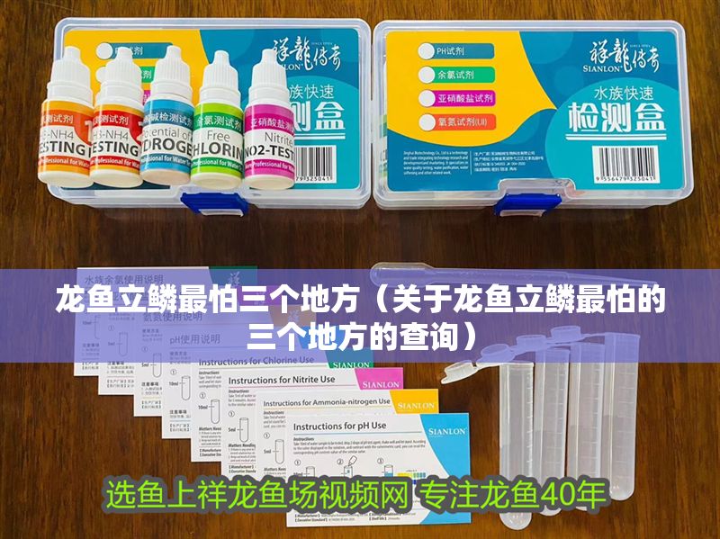 龍魚立鱗最怕三個地方（關(guān)于龍魚立鱗最怕的三個地方的查詢）