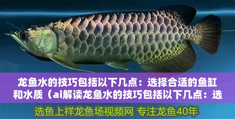 龍魚水的技巧包括以下幾點：選擇合適的魚缸和水質（ai解讀龍魚水的技巧包括以下幾點：選擇合適的魚缸和水質）