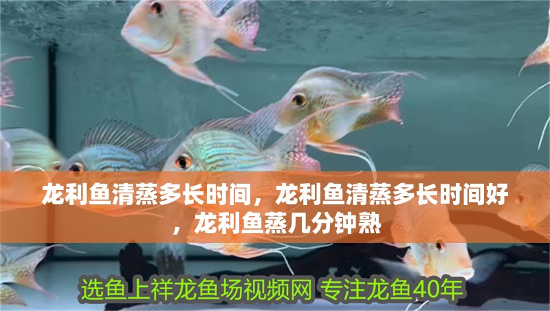 龍利魚清蒸多長時間，龍利魚清蒸多長時間好，龍利魚蒸幾分鐘熟