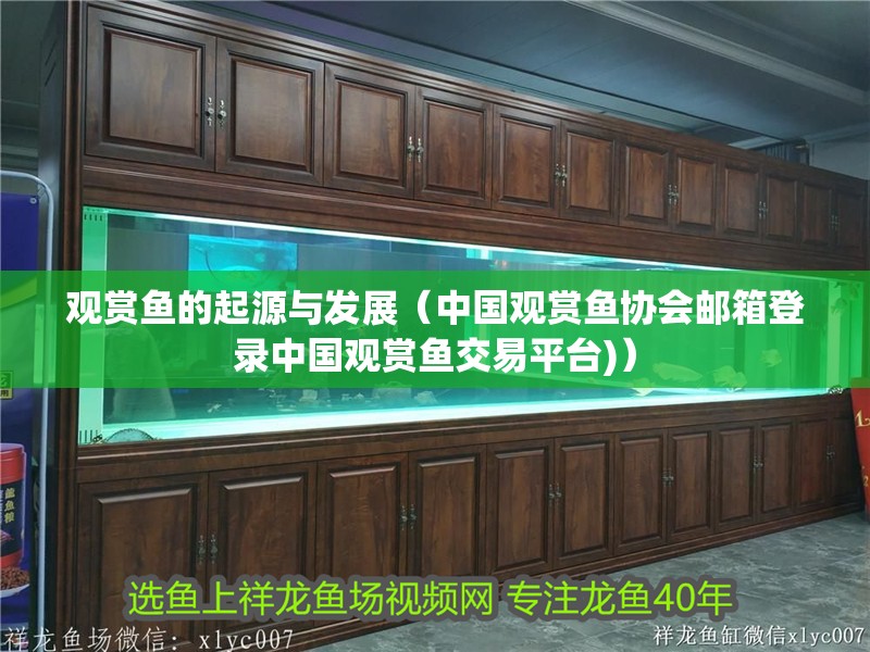 觀賞魚的起源與發(fā)展（中國觀賞魚協(xié)會郵箱登錄中國觀賞魚交易平臺)）