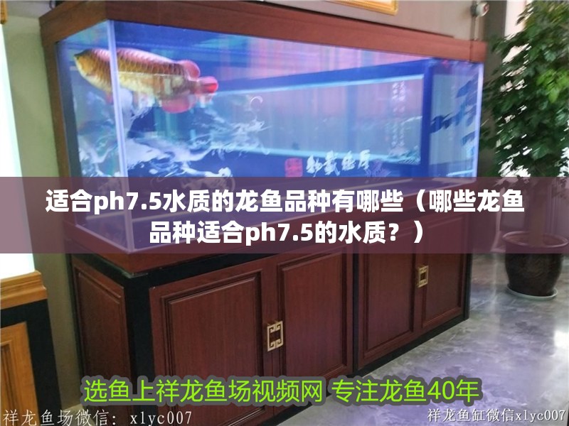 適合ph7.5水質的龍魚品種有哪些（哪些龍魚品種適合ph7.5的水質？）