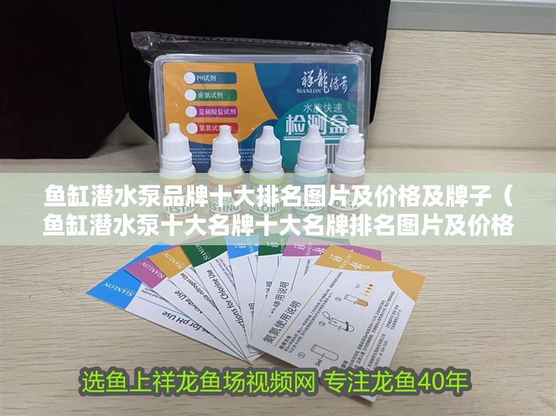 魚缸潛水泵品牌十大排名圖片及價格及牌子（魚缸潛水泵十大名牌十大名牌排名圖片及價格介紹）