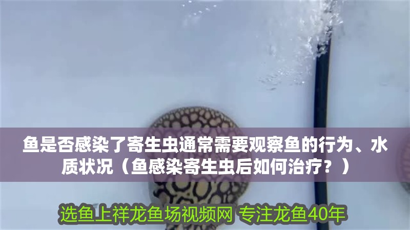 魚是否感染了寄生蟲通常需要觀察魚的行為、水質(zhì)狀況（魚感染寄生蟲后如何治療？）
