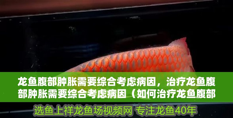 龍魚腹部腫脹需要綜合考慮病因，治療龍魚腹部腫脹需要綜合考慮病因（如何治療龍魚腹部腫脹）