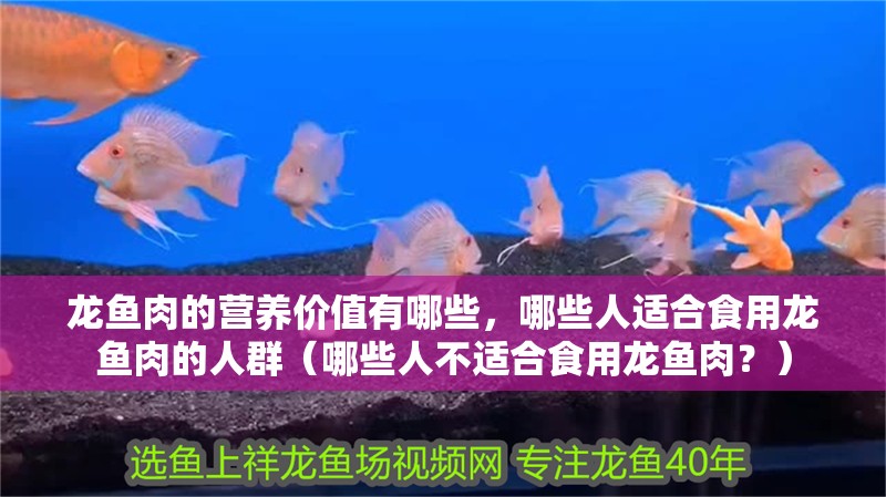 龍魚肉的營養價值有哪些，哪些人適合食用龍魚肉的人群（哪些人不適合食用龍魚肉？）