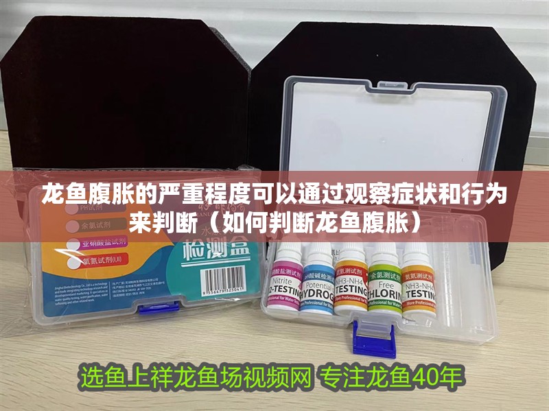龍魚腹脹的嚴重程度可以通過觀察癥狀和行為來判斷（如何判斷龍魚腹脹）
