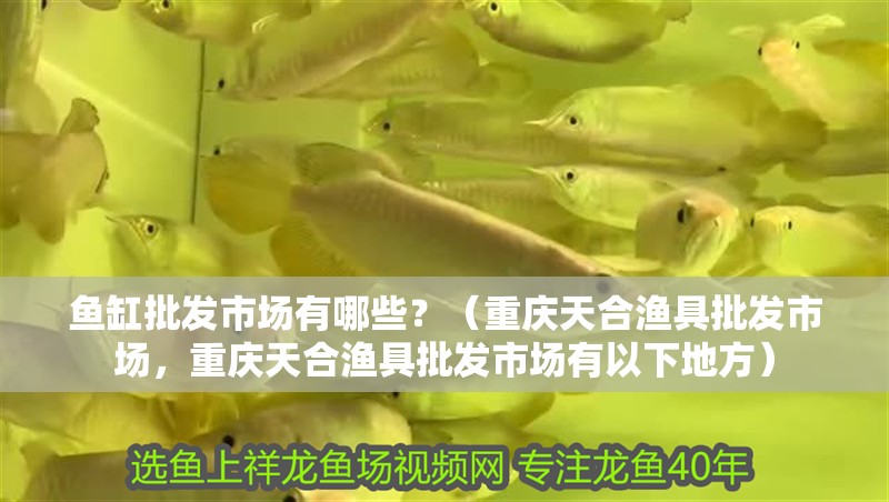 魚缸批發市場有哪些？（重慶天合漁具批發市場，重慶天合漁具批發市場有以下地方）