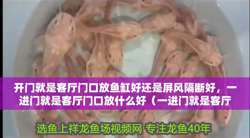 開門就是客廳門口放魚缸好還是屏風隔斷好，一進門就是客廳門口放什么好（一進門就是客廳門口放什么好）
