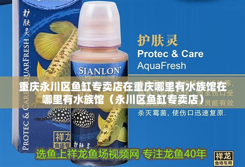重慶永川區魚缸專賣店在重慶哪里有水族館在哪里有水族館（永川區魚缸專賣店）