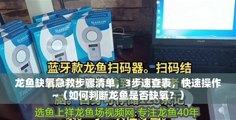 龍魚缺氧急救步驟清單，3步速查表，快速操作~（如何判斷龍魚是否缺氧？）