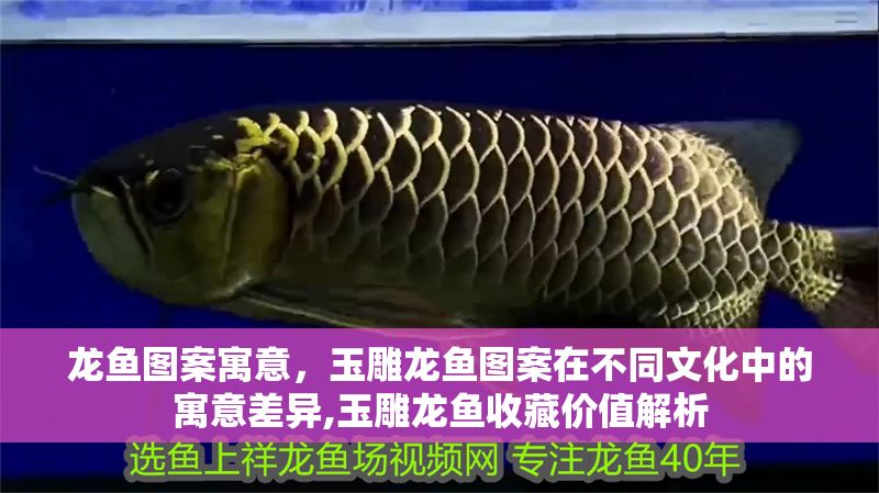 龍魚圖案寓意，玉雕龍魚圖案在不同文化中的寓意差異,玉雕龍魚收藏價值解析
